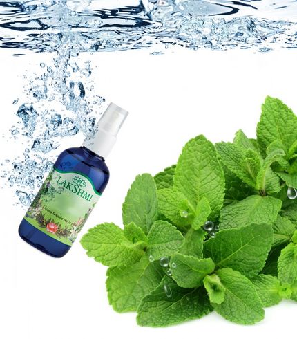 ACQUA DI MENTA PIPERITA - idralato di menta piperita