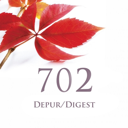 DEPUR-DIGEST TISANA DEPURATIVA - Tisana depurativa purificante