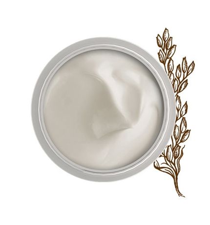 CREMA MANI NUTRIENTE
